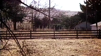 Blonde brunette and redhead having threesome at the office