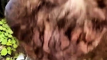 Rose Runnell Do it Anywhere