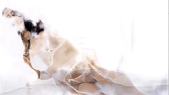 Hardcore pornstar in big butt trannies