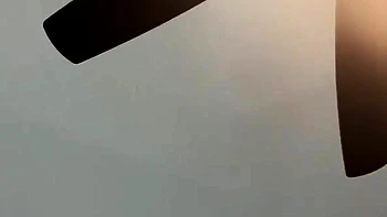 Amateur chick and her blowjob talent