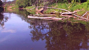 Amateur teen Blowjob with hardcore drilling