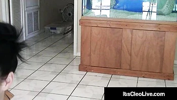 Fairly hoochie's freckles trailer