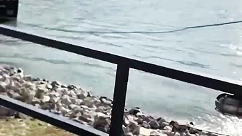 Mr Lucky Life - babe video