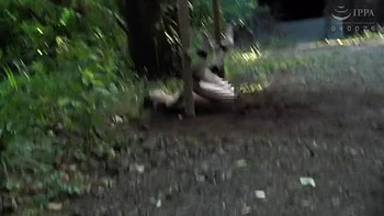 x1x49E4590E30B7B3601D