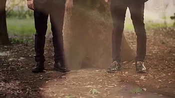 IPRGDCMAQNAHGXMKWV44JUR536