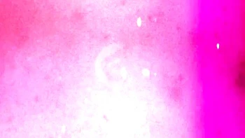 Fetching sugar's solo action