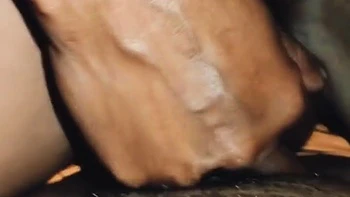 Local Hindi Talk Clear Audio, Doggy Style