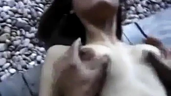 Banthai: Blowjob, Doggy  Missonary Porn