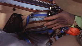 In the Realm of Sex 1977