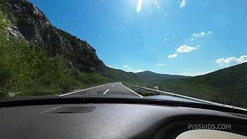 14 Hour Road Trip And How Many Times She Peed (Extended Edition)