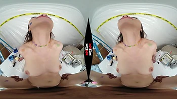 A Fresh Lick of Paint