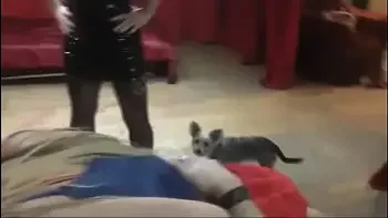 Lapdance From Two Czech Bitches