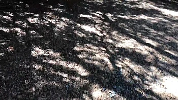 Girl Gets Her Ball From The Neighbor And Gets A Good Balling