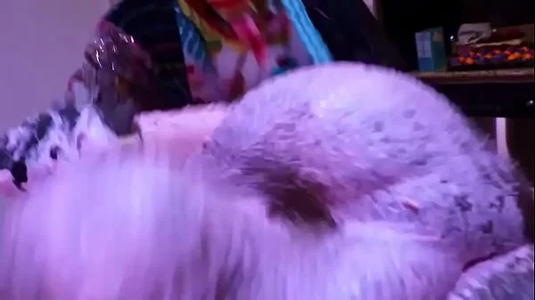 Victoria Cakes Gets Her Fat Ass Made into A Cake By Gibby The Clown