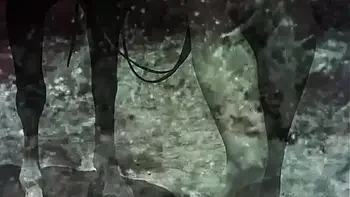 Dark Lantern Entertainment presents 'Women With Animals'