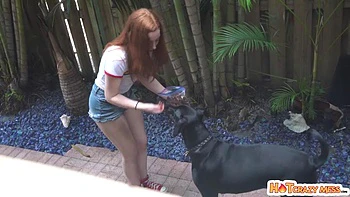 Adadad: Blowjob, Doggy  Cowgirl Porn