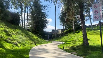 Petite Latina Aubry Babcock Gives Wild Outdoor Blowjob and Facial - Complete Girlfriend Experience