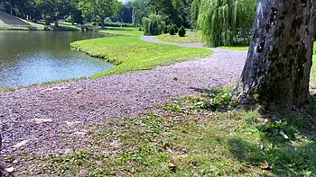 Горячий POV минет на улице от брюнетки