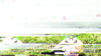 Rough Harleen Van Hynten - real homemade porn - Wolf Wagner Com