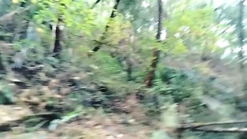 Nepali Jungle Sex - Big Tits & Big Ass Doggy Style Fuck in Forest HD