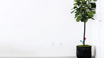 Teen girl shows off and masturbates in hot homemade solo