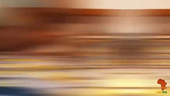 Trailer For Exclusive Videos - Spice